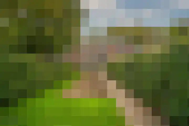 Sint Antoniusstraat 26 Beesel thumbnail 25