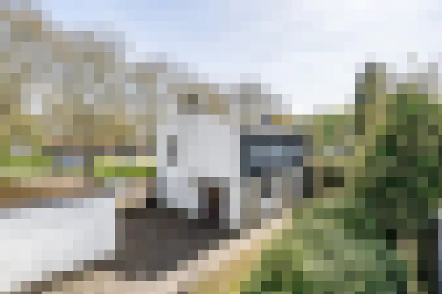 Sint Antoniusstraat 35 Weert thumbnail 43