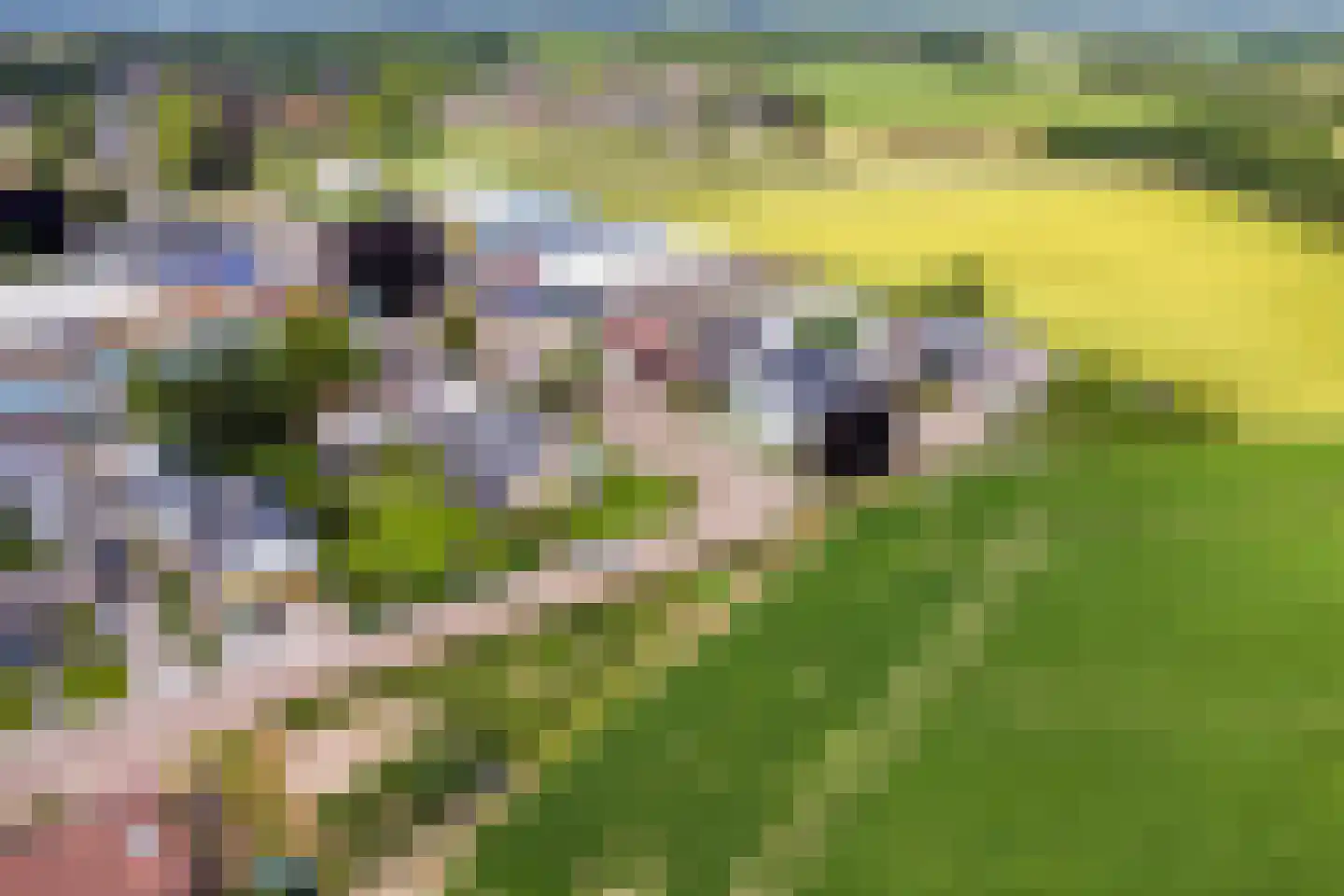 Sint Antoniusstraat 4 Baexem thumbnail 102
