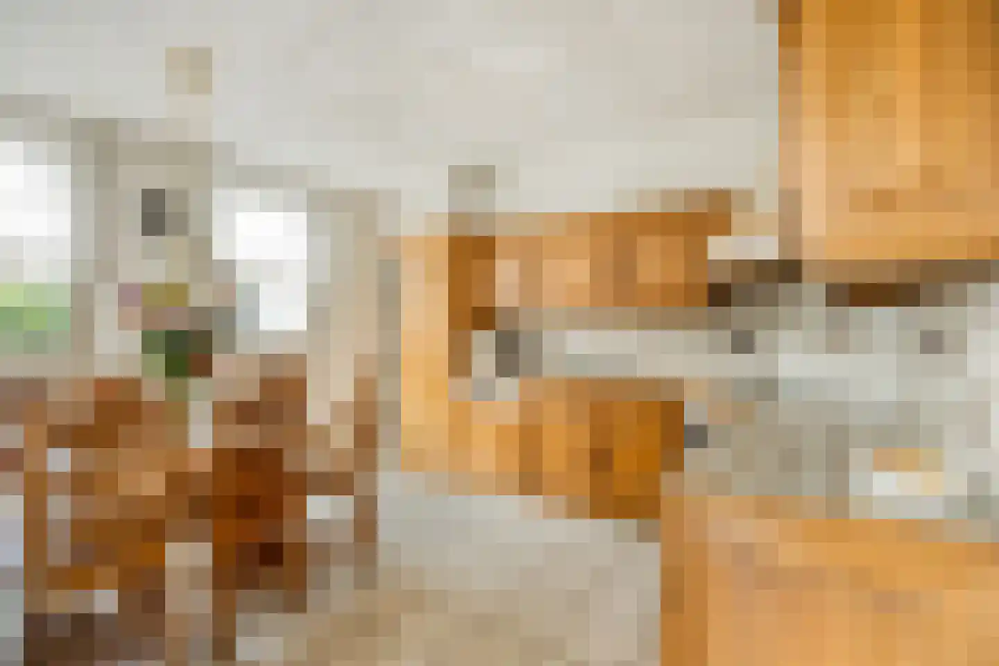 Sint Antoniusstraat 4 Baexem thumbnail 18