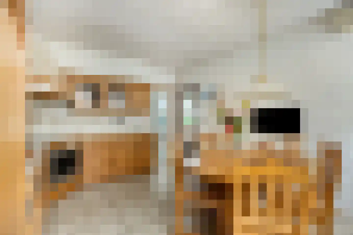 Sint Antoniusstraat 4 Baexem thumbnail 19