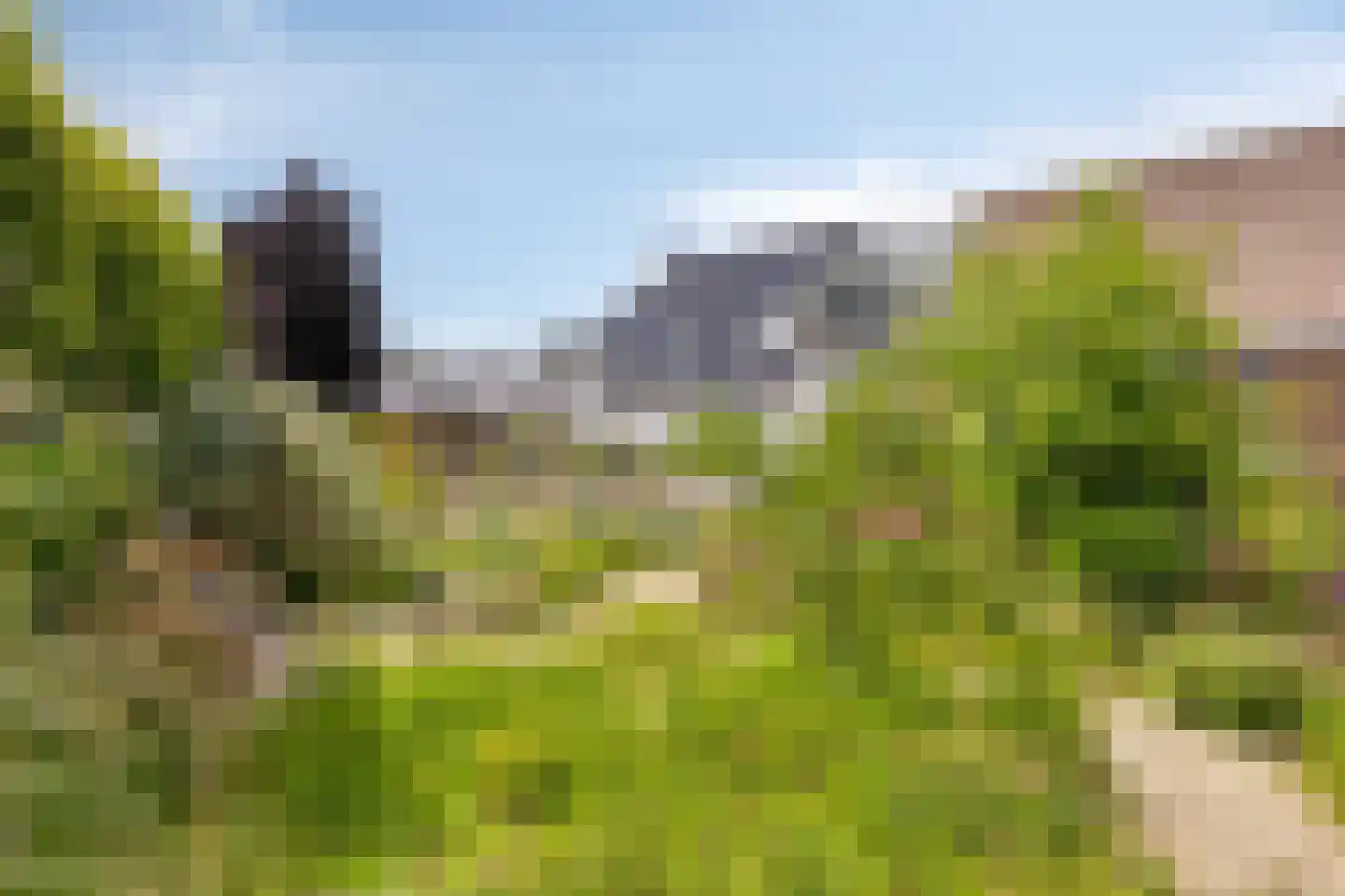 Sint Antoniusstraat 4 Baexem thumbnail 4