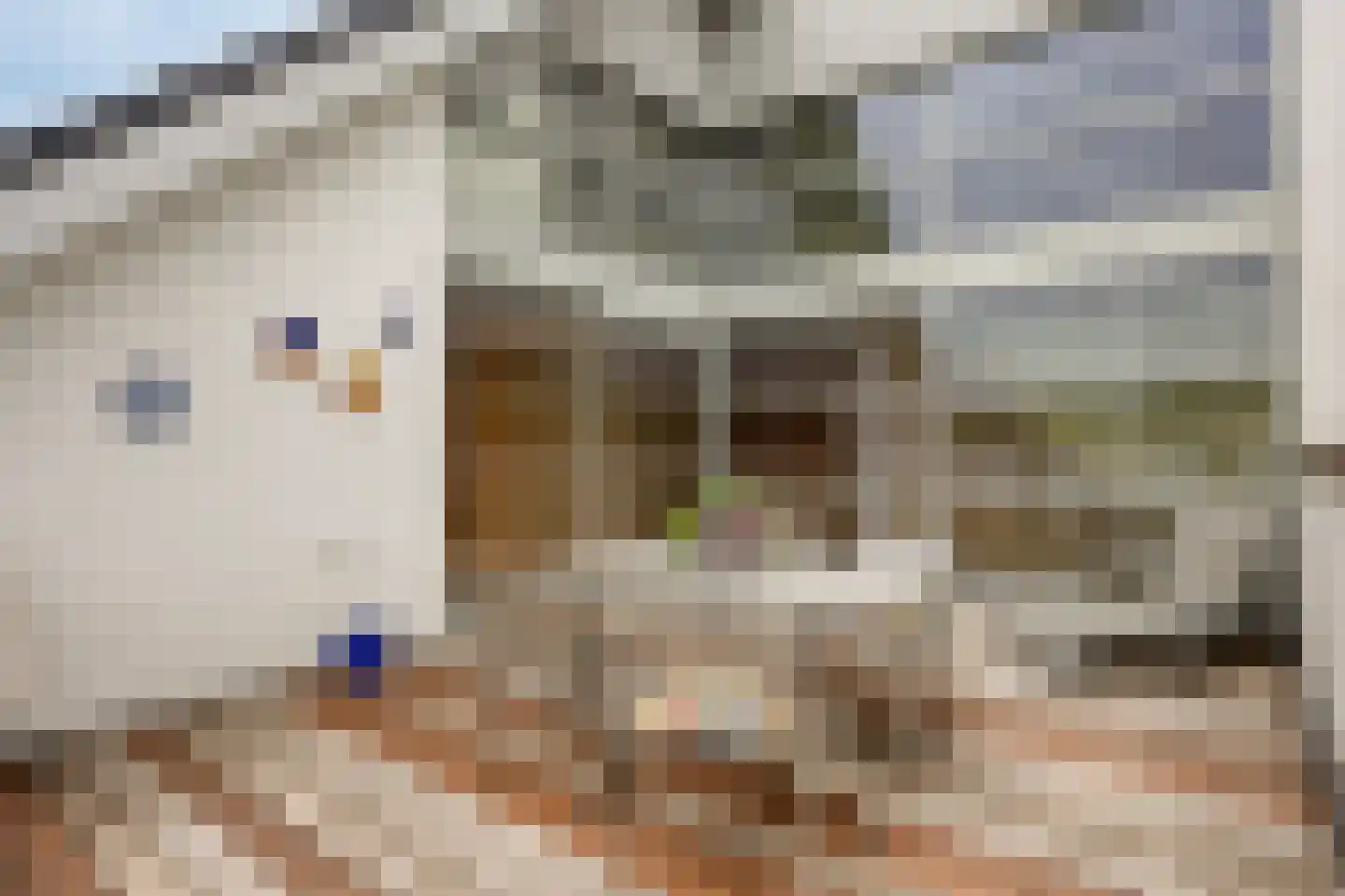Sint Antoniusstraat 4 Baexem thumbnail 46