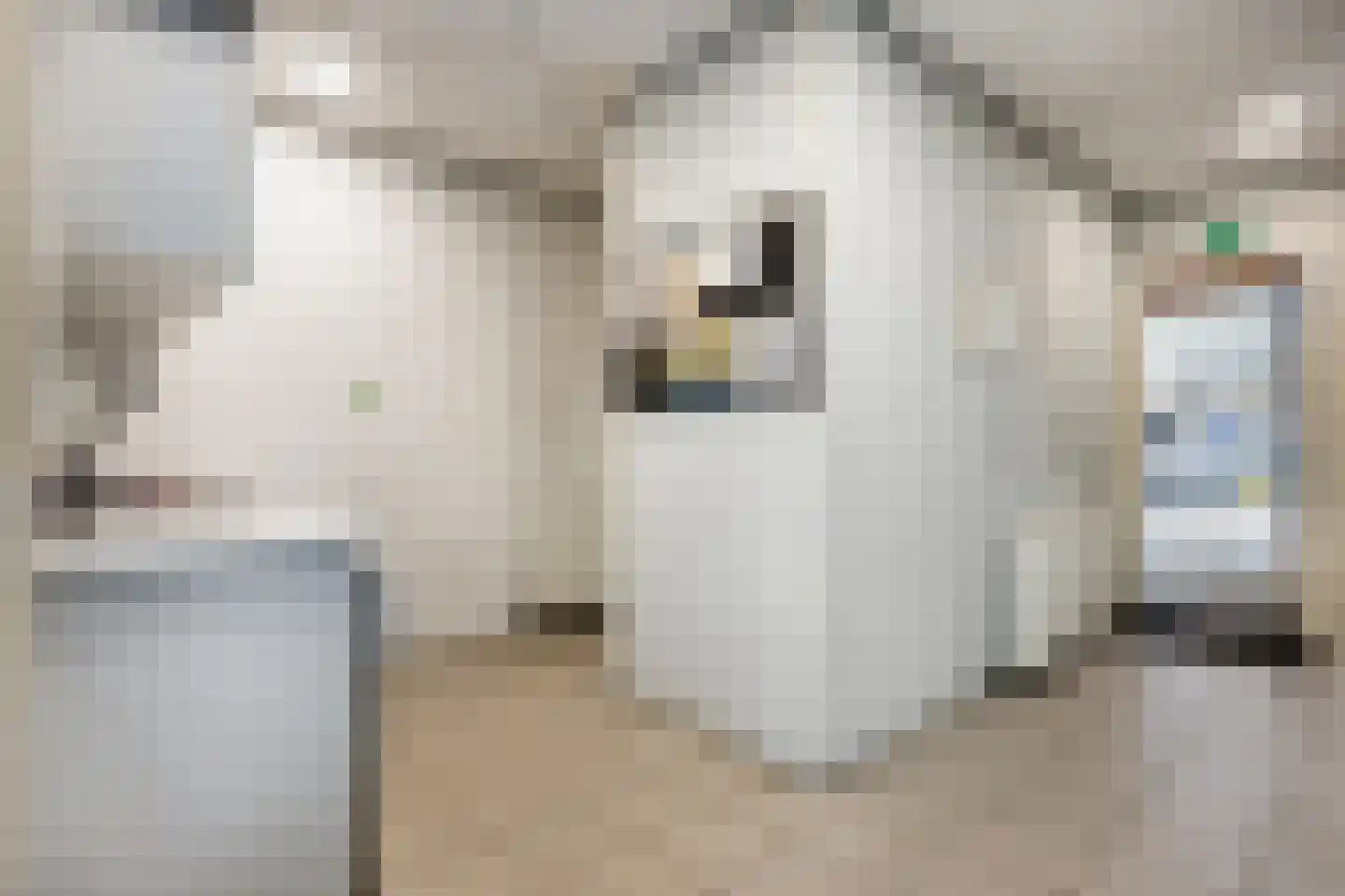 Sint Antoniusstraat 4 Baexem thumbnail 57