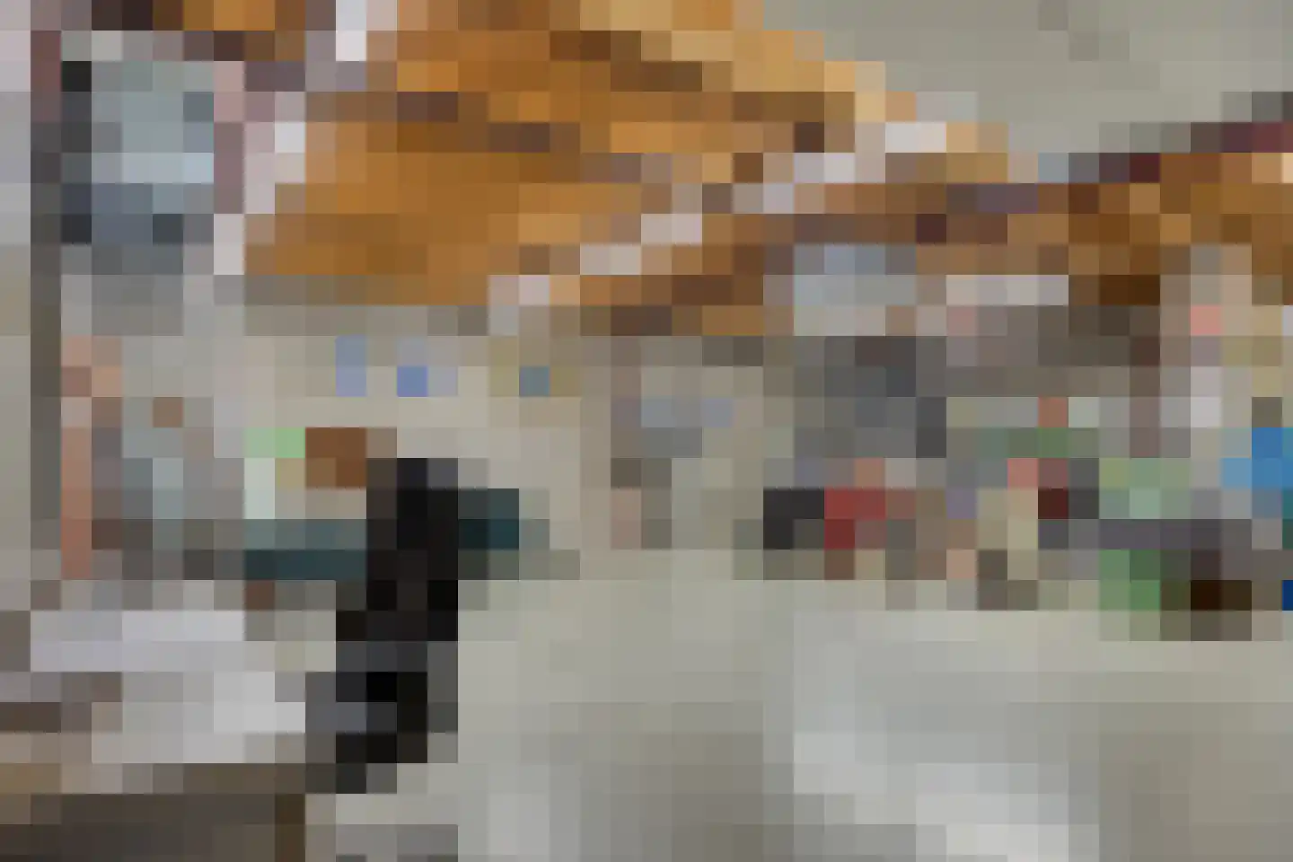 Sint Antoniusstraat 4 Baexem thumbnail 63