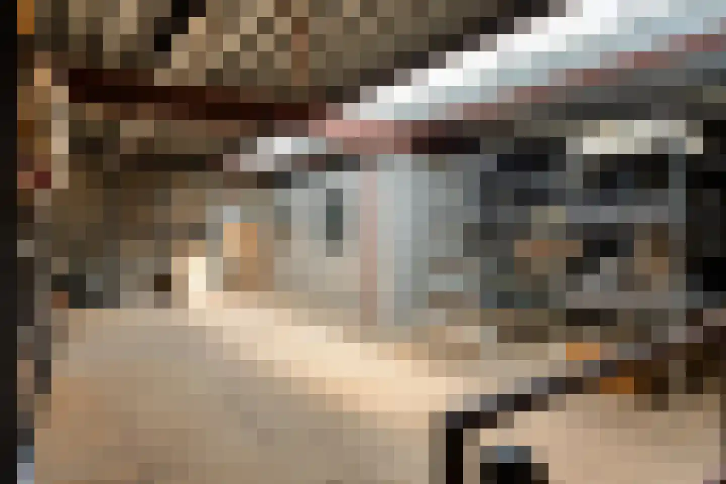 Sint Antoniusstraat 4 Baexem thumbnail 66