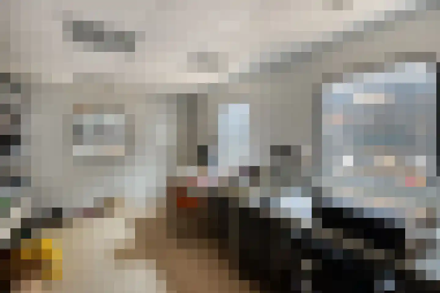 Sint Antoniusstraat 4 Baexem thumbnail 68