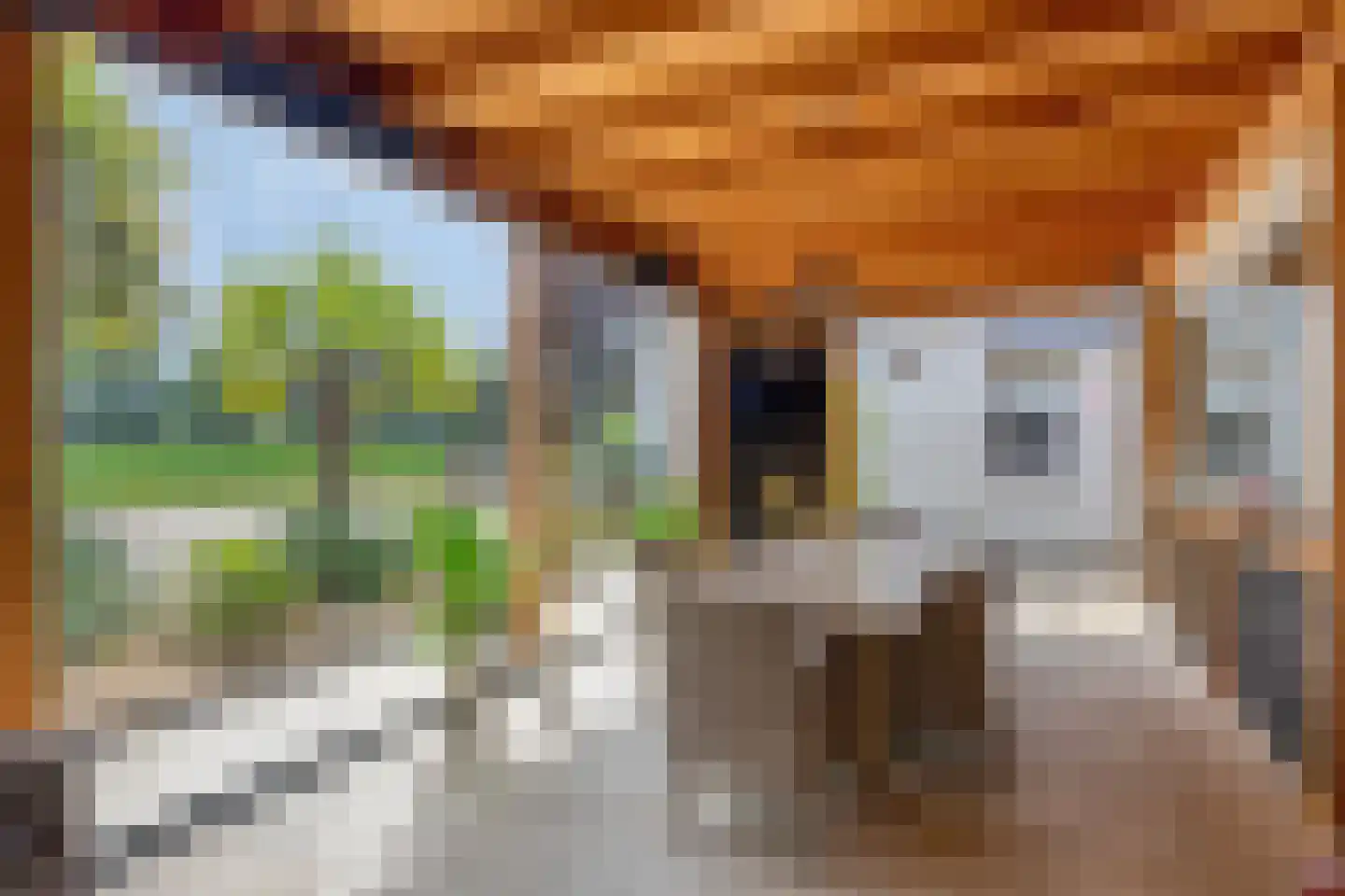 Sint Antoniusstraat 4 Baexem thumbnail 76