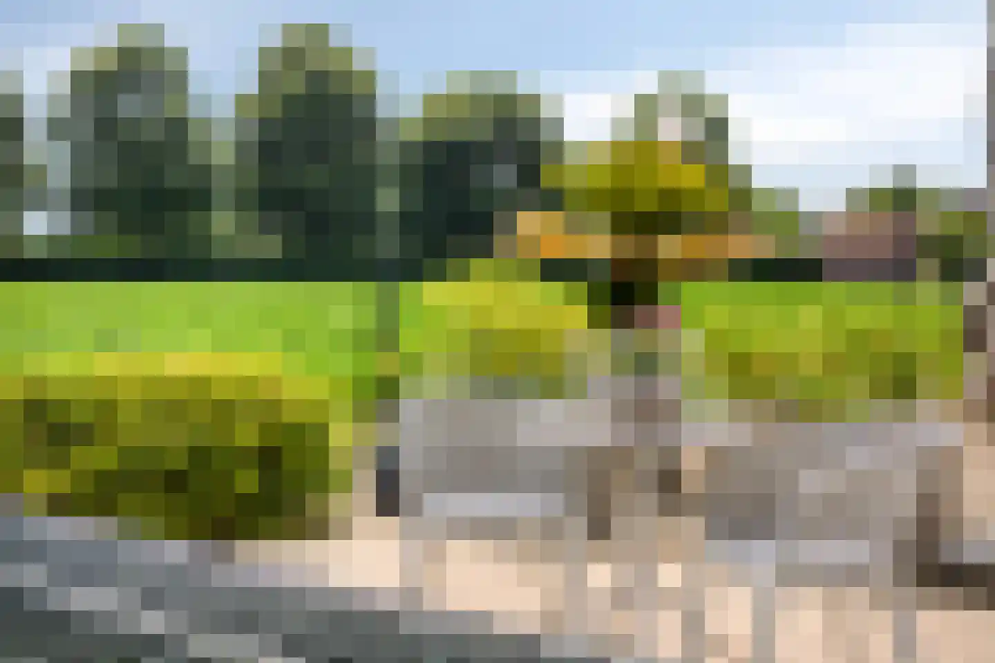 Sint Antoniusstraat 4 Baexem thumbnail 83