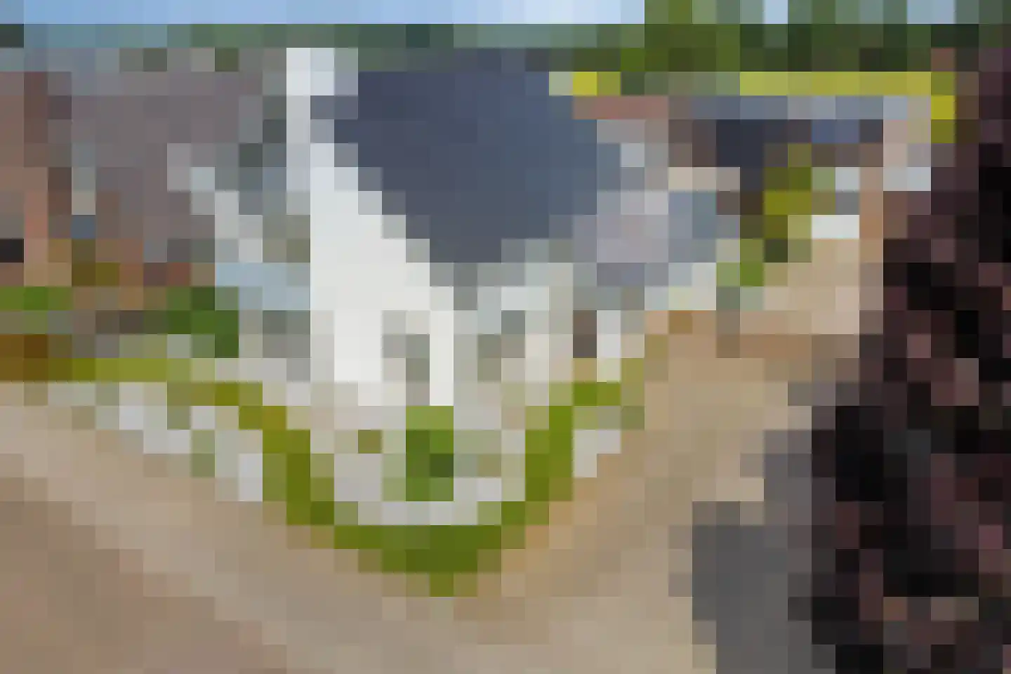 Sint Antoniusstraat 4 Baexem thumbnail 93