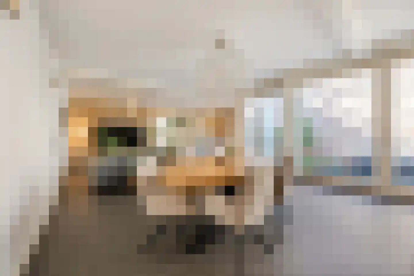 Sint-Antoniusstraat 4 Bergen op Zoom thumbnail 8