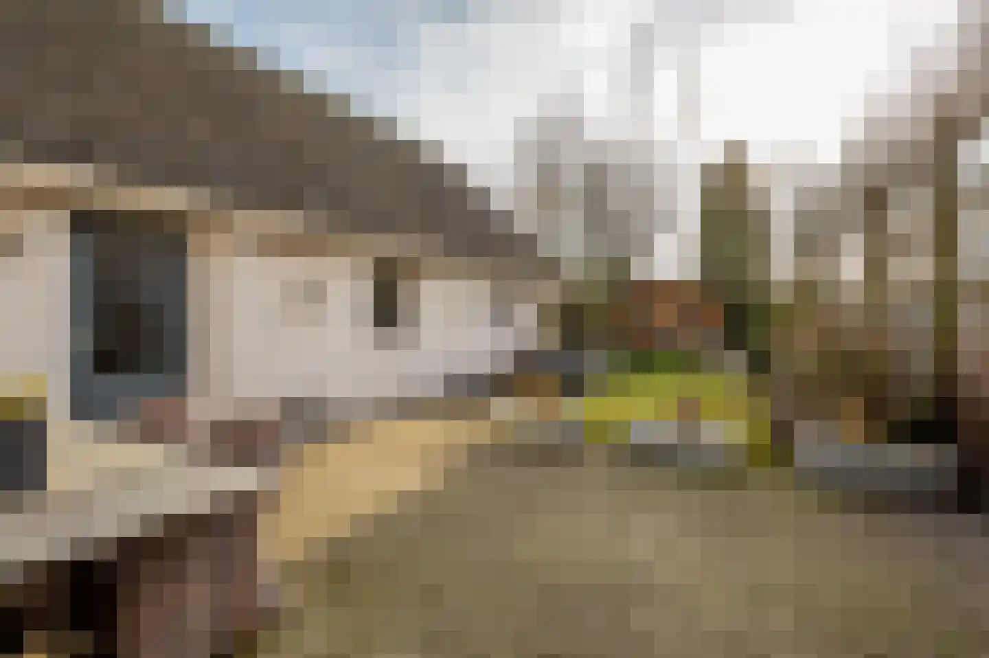 Sint Antoniusstraat 45 Schijf thumbnail 33