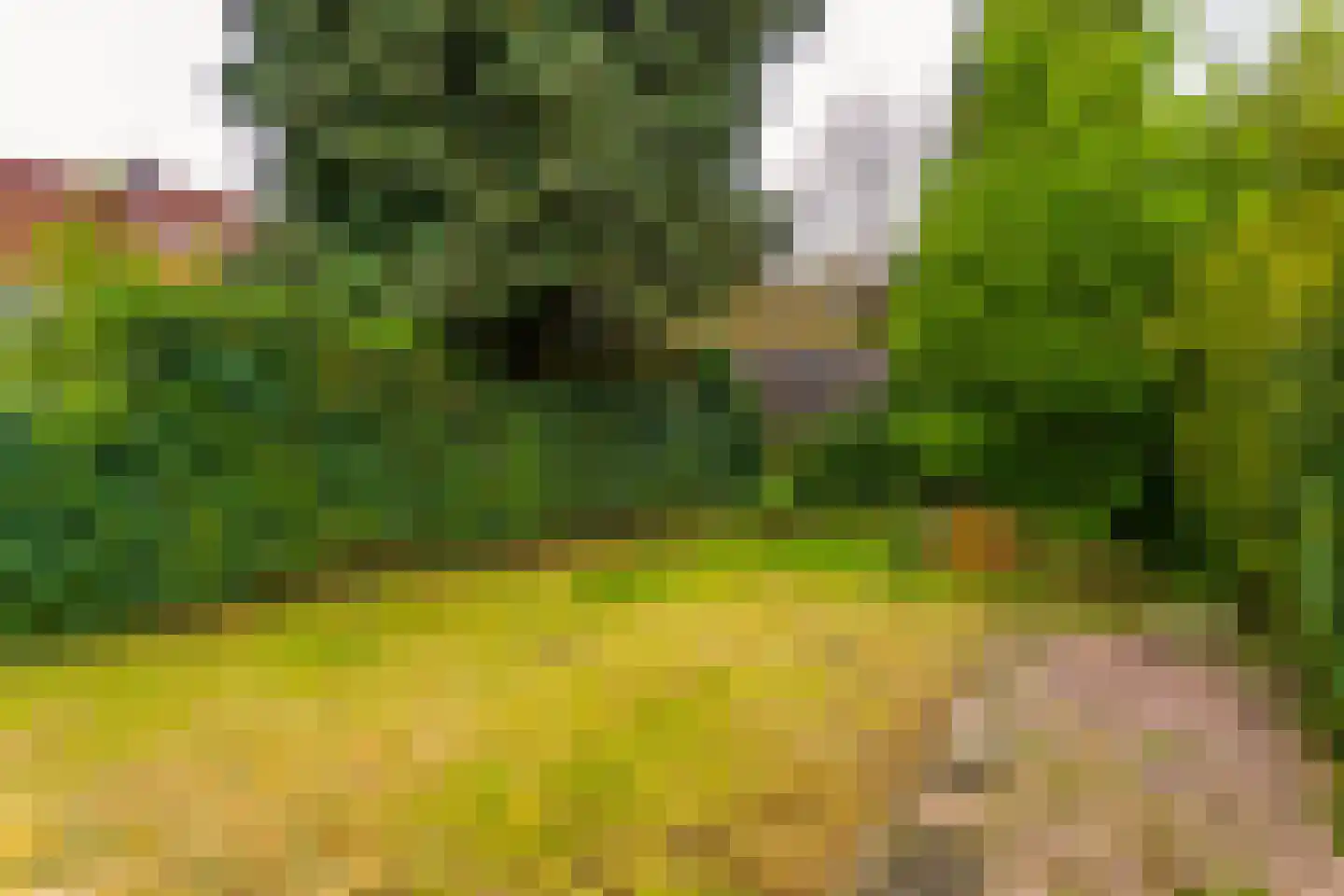 Sint Antoniusweg 4 Heerlen thumbnail 25