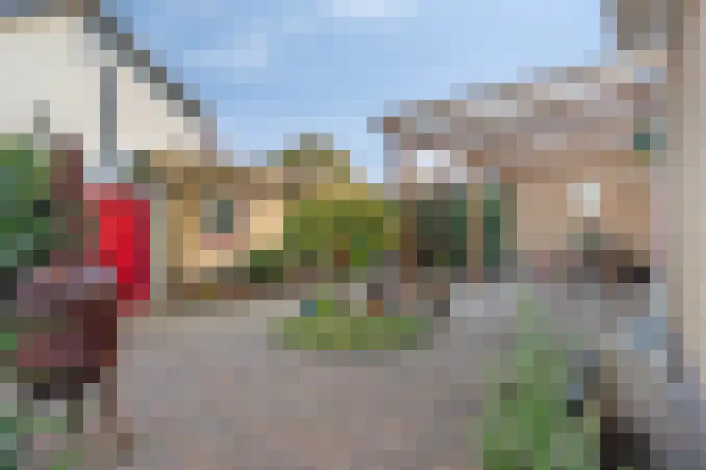 Sint Augustinusstraat 20 Elsloo thumbnail 10