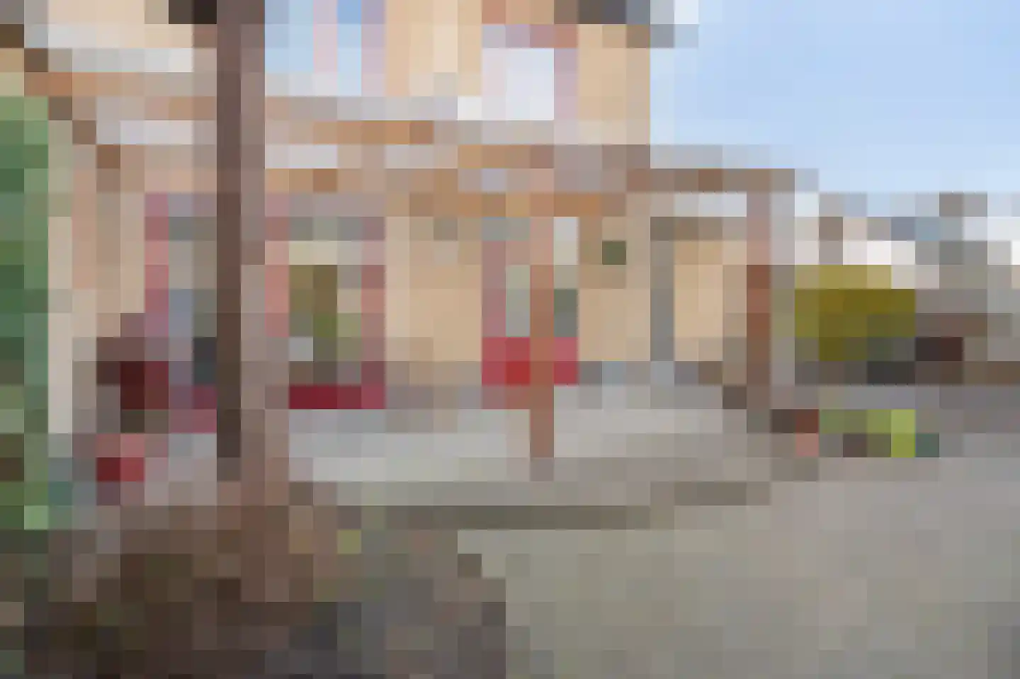 Sint Augustinusstraat 20 Elsloo thumbnail 12