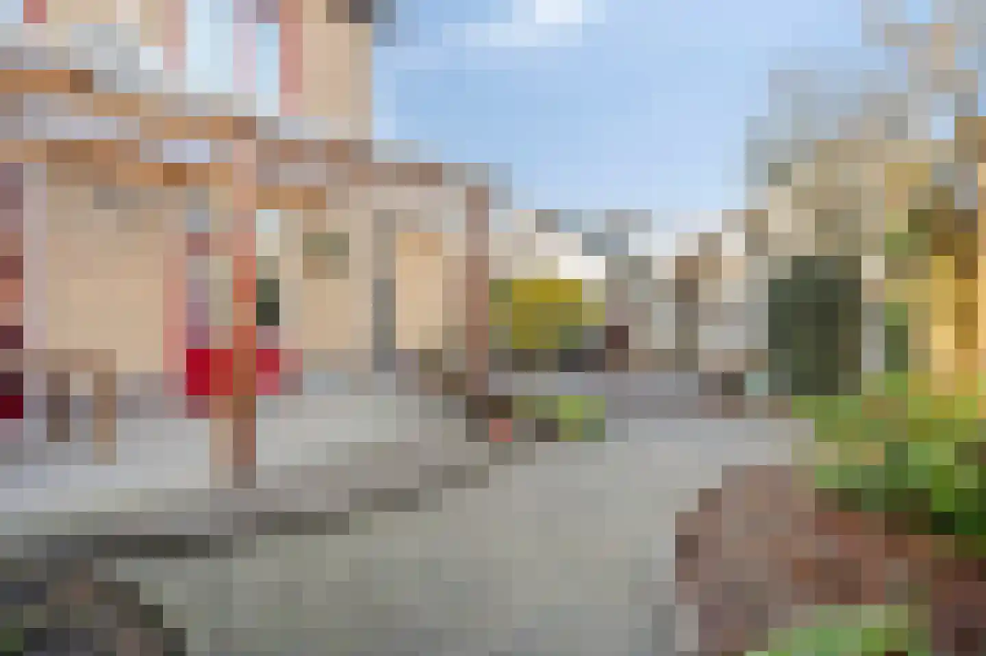 Sint Augustinusstraat 20 Elsloo thumbnail 13