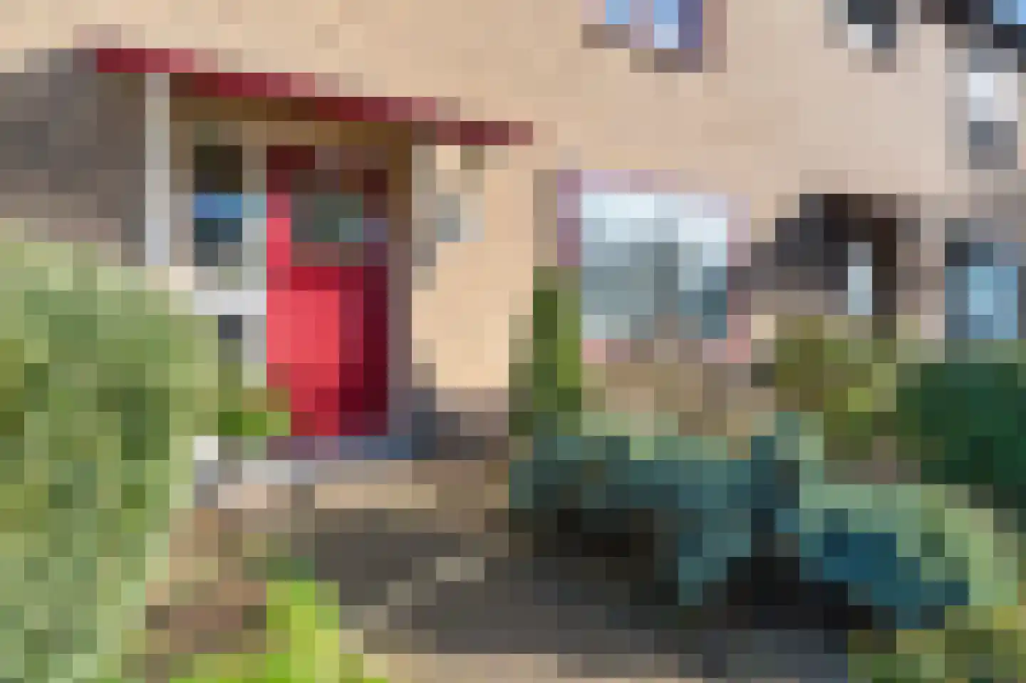 Sint Augustinusstraat 20 Elsloo thumbnail 9