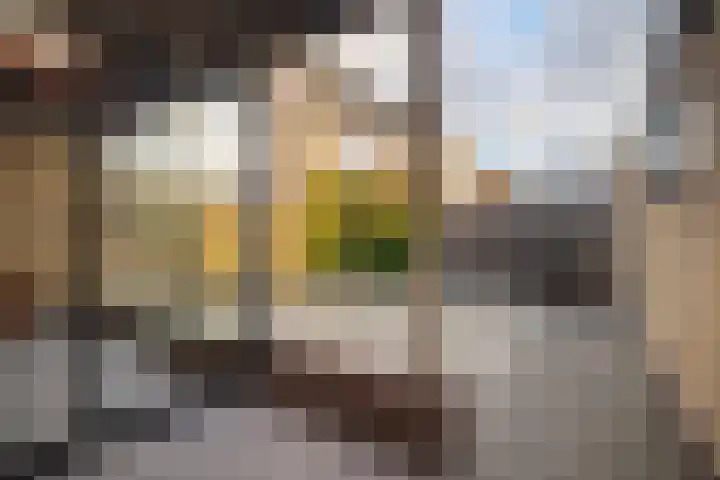 Sint Augustinusstraat 8 Elsloo thumbnail 19