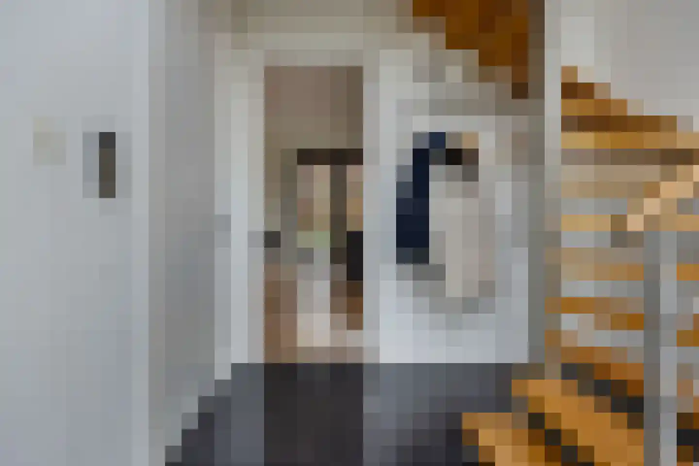 Sint Barbaragilde 5 Dronten thumbnail 34