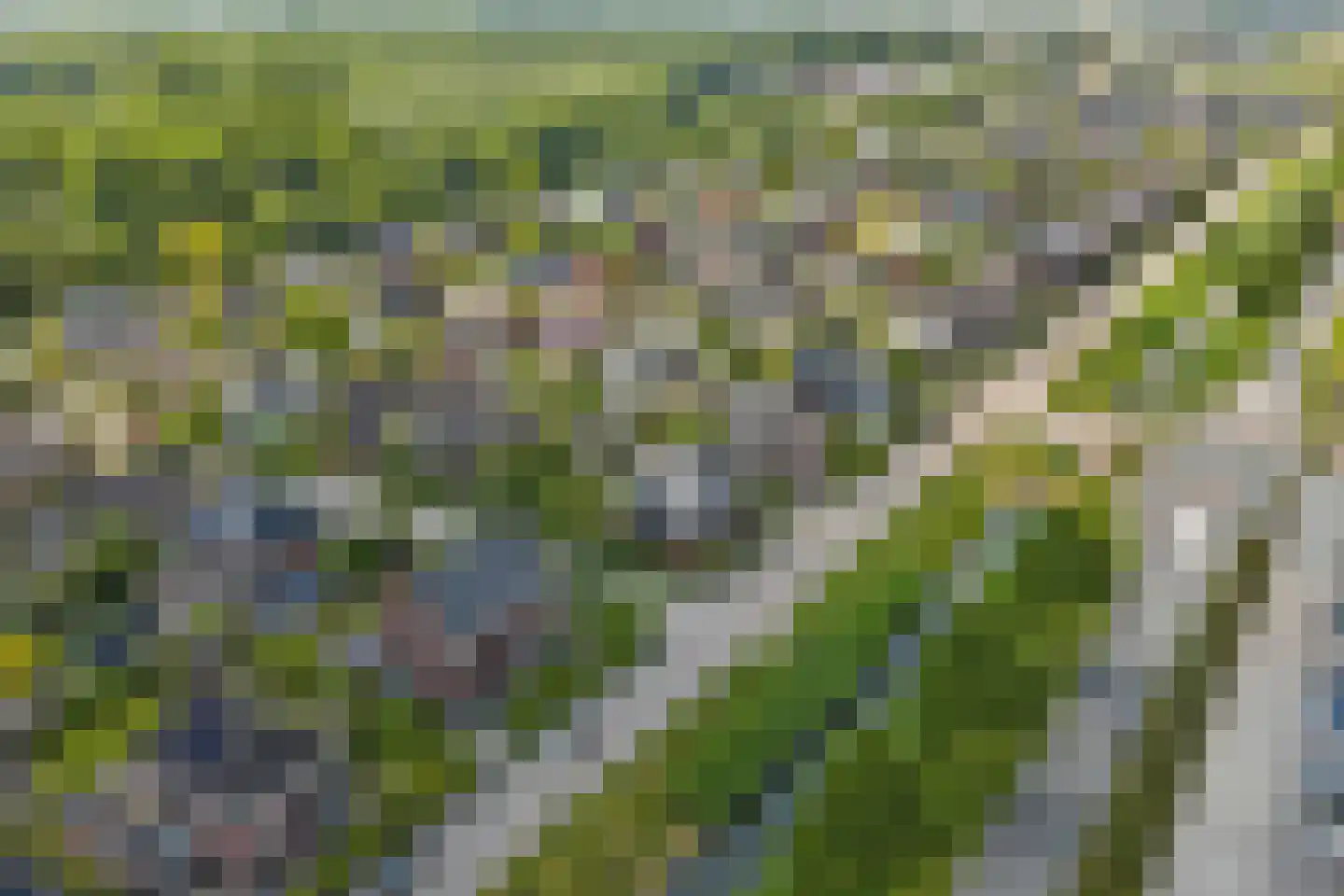 Sint Barbaragilde 5 Dronten thumbnail 4