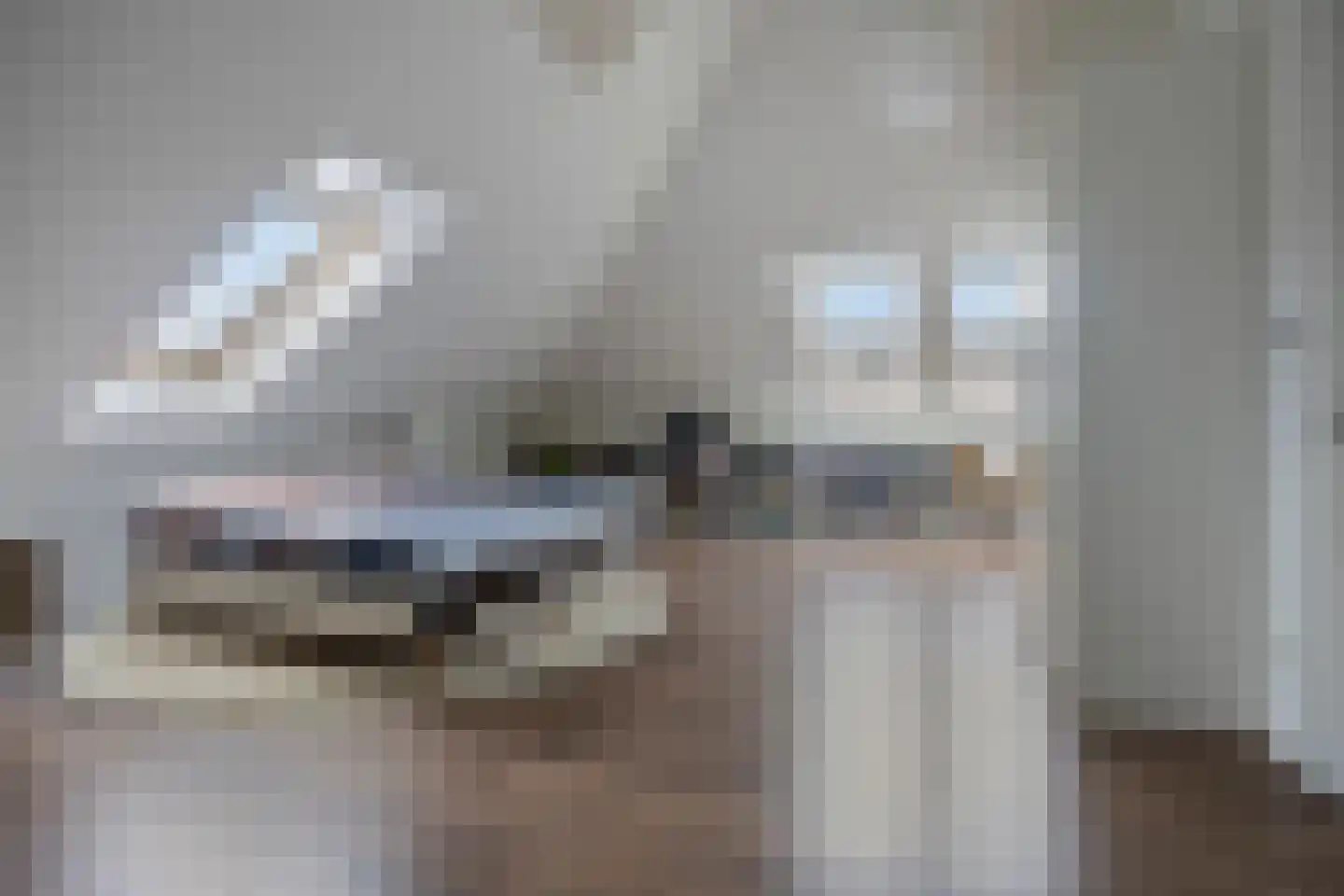 Sint Barbaragilde 5 Dronten thumbnail 55