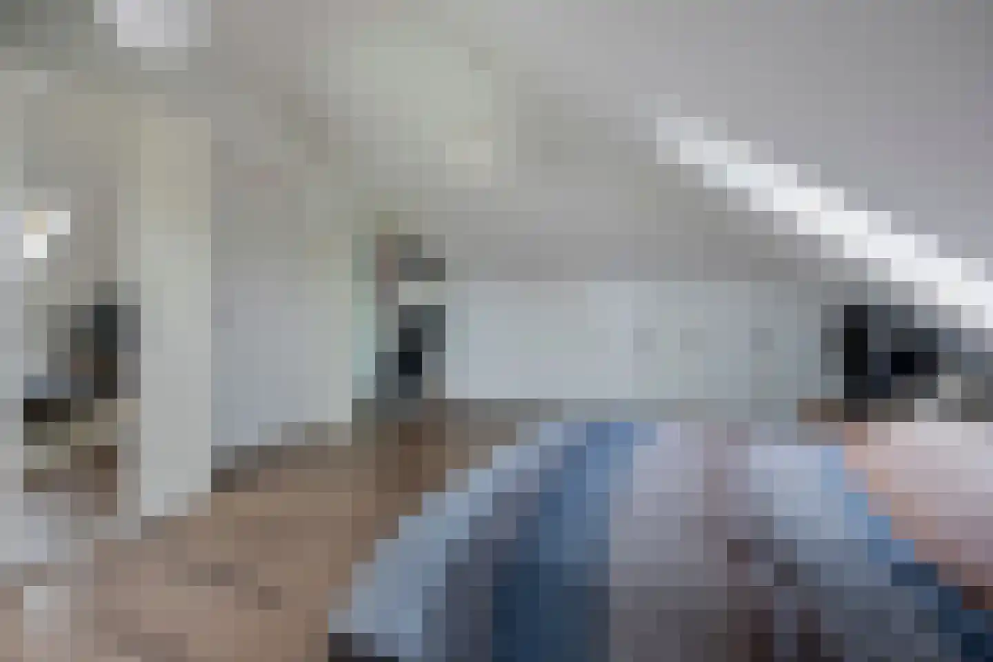Sint Barbaragilde 5 Dronten thumbnail 56