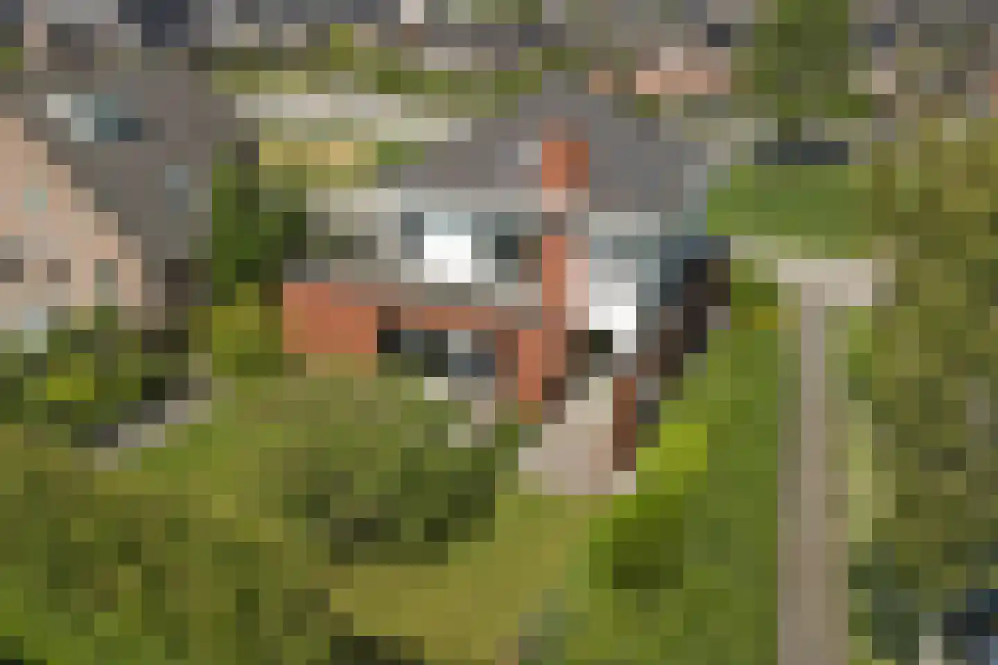 Sint Barbaragilde 5 Dronten thumbnail 76