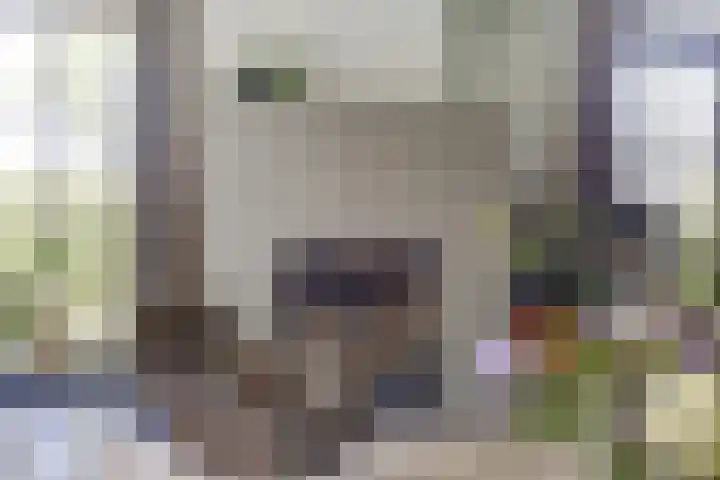 Sint Barbaragilde 7 Dronten thumbnail 10