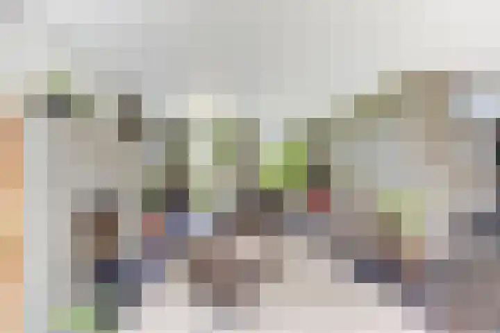 Sint Barbaragilde 7 Dronten thumbnail 11