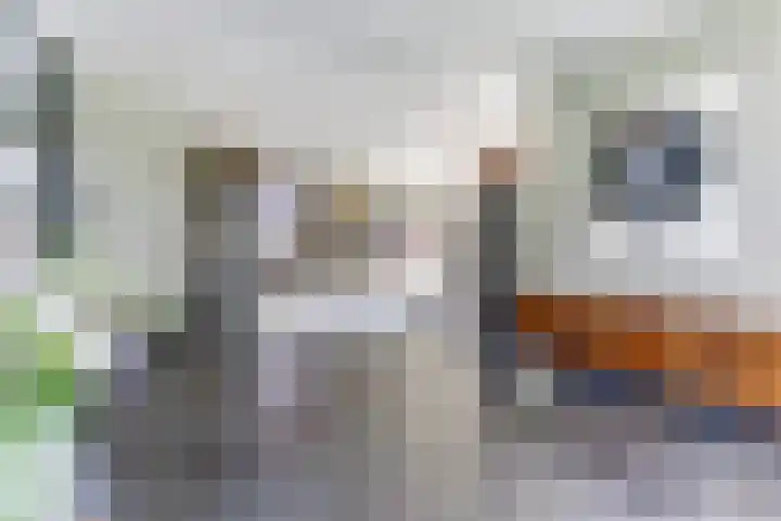 Sint Barbaragilde 7 Dronten thumbnail 13