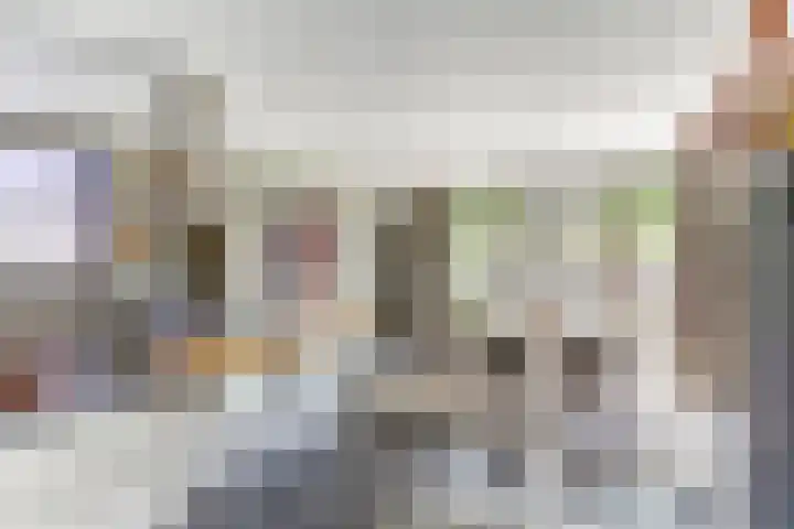Sint Barbaragilde 7 Dronten thumbnail 15