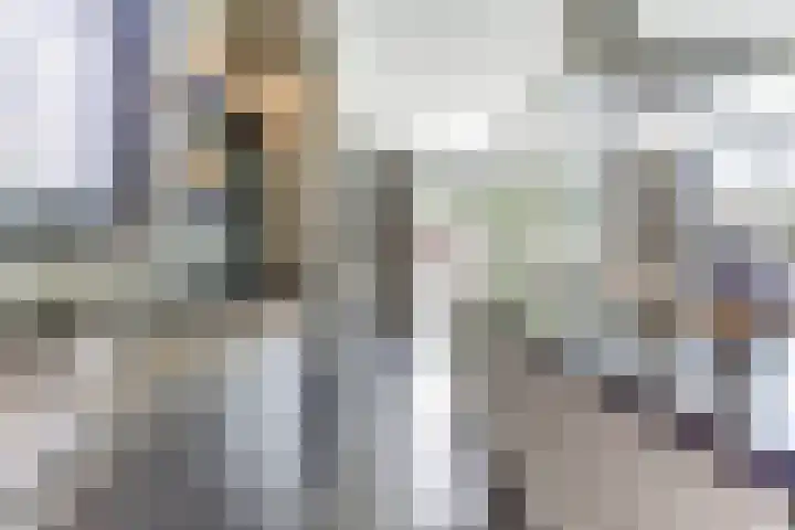 Sint Barbaragilde 7 Dronten thumbnail 16