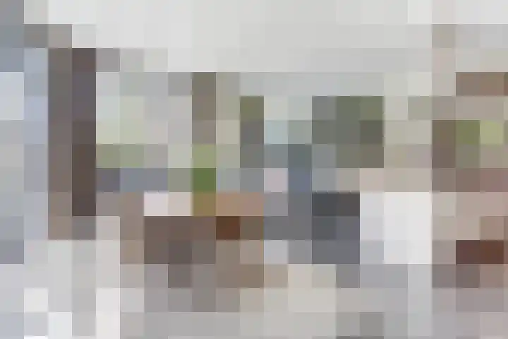 Sint Barbaragilde 7 Dronten thumbnail 19