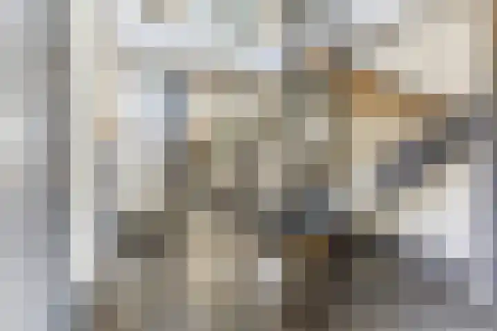 Sint Barbaragilde 7 Dronten thumbnail 21
