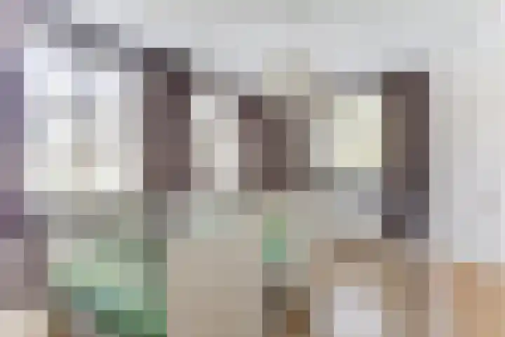Sint Barbaragilde 7 Dronten thumbnail 23