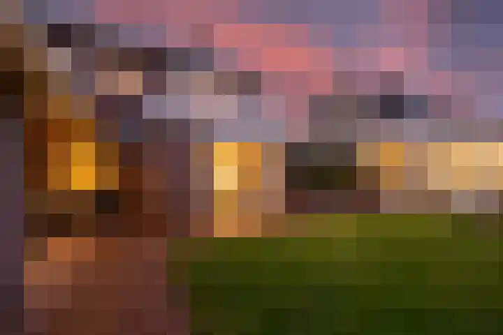 Sint Barbaragilde 7 Dronten thumbnail 25