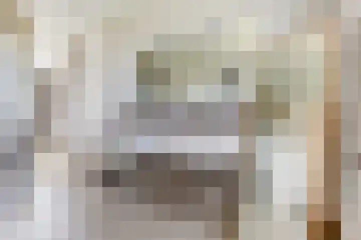 Sint Barbaragilde 7 Dronten thumbnail 34