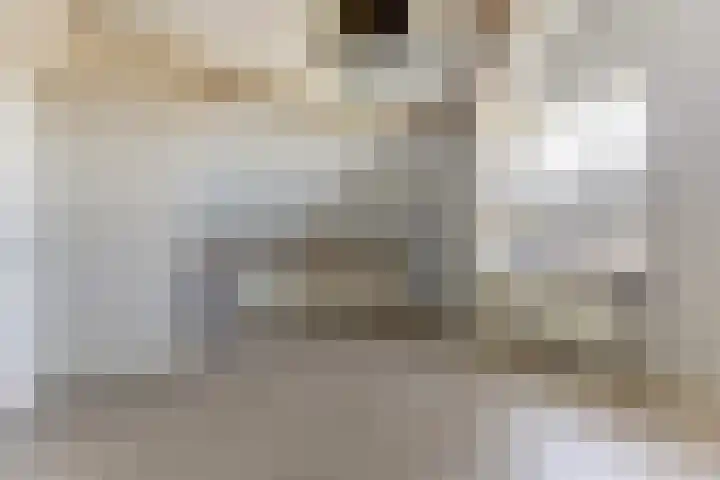 Sint Barbaragilde 7 Dronten thumbnail 38