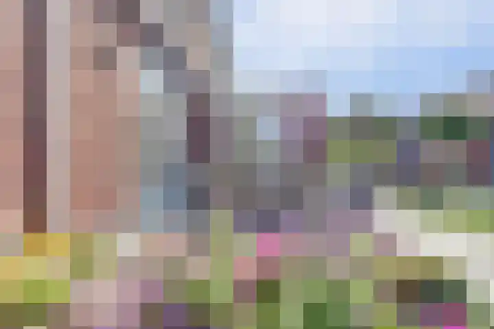 Sint Barbaragilde 7 Dronten thumbnail 46