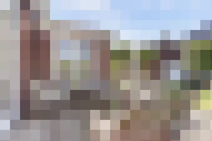 Sint Barbaragilde 7 Dronten thumbnail 47