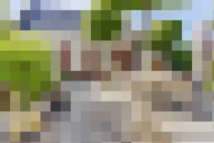 Sint Barbaragilde 7 Dronten thumbnail 49