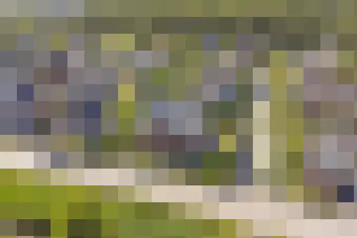 Sint Barbaragilde 7 Dronten thumbnail 5