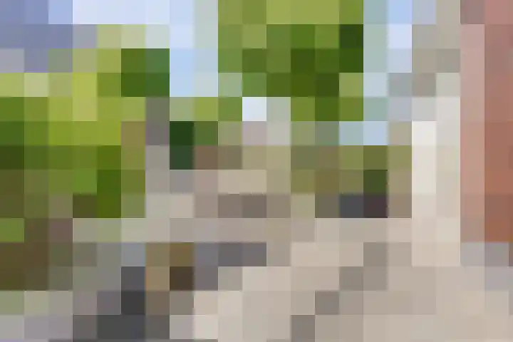 Sint Barbaragilde 7 Dronten thumbnail 50