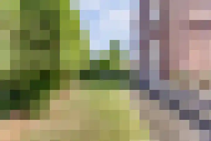 Sint Barbaragilde 7 Dronten thumbnail 51