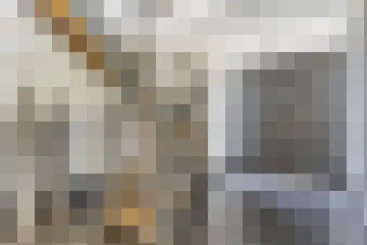 Sint Barbaragilde 7 Dronten thumbnail 6