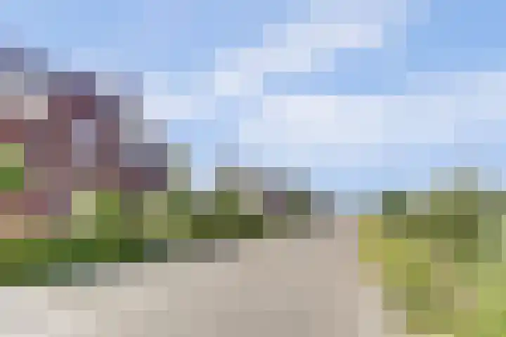 Sint Barbaragilde 7 Dronten thumbnail 60