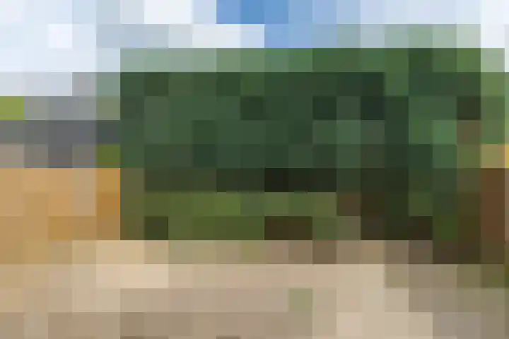 Sint Barbarastraat 9 Valkenburg thumbnail 28