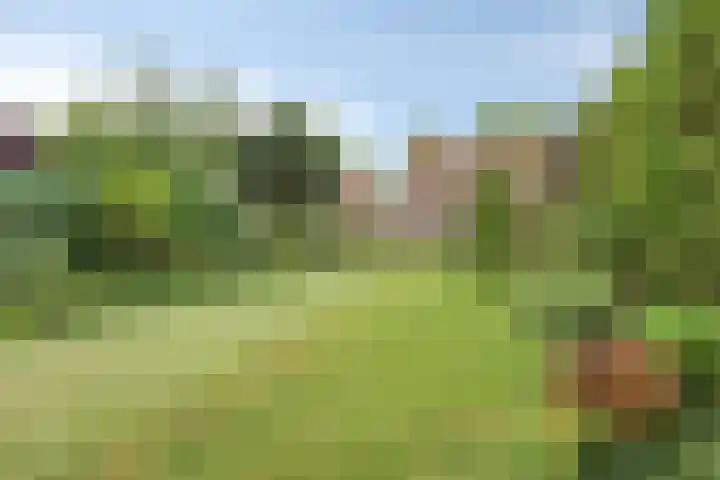 Sint Barbaraweg 72 Budel-Dorplein thumbnail 26