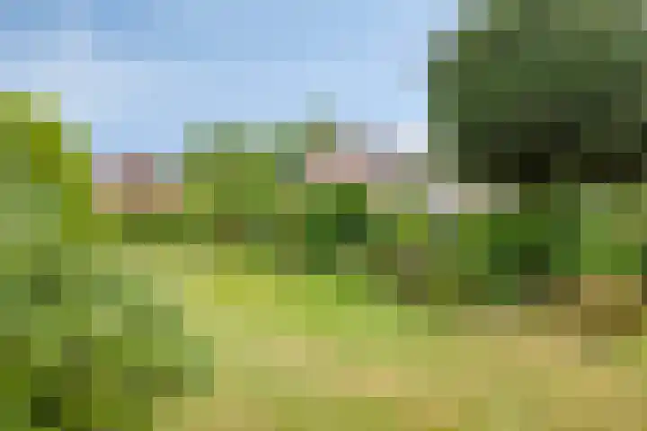 Sint Barbaraweg 72 Budel-Dorplein thumbnail 27