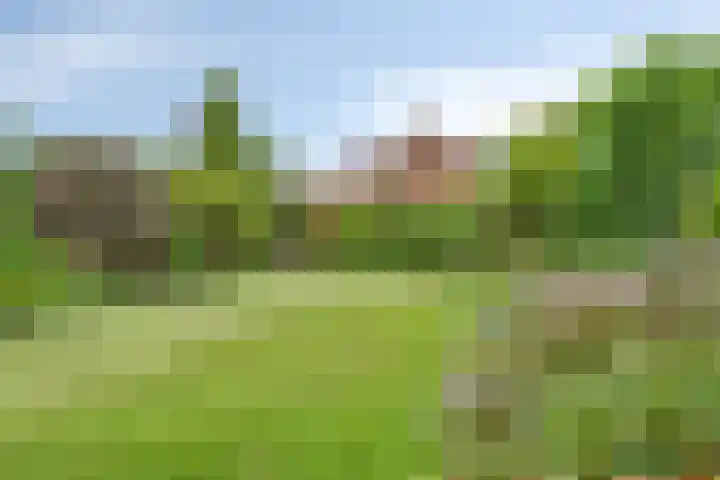 Sint Barbaraweg 72 Budel-Dorplein thumbnail 28